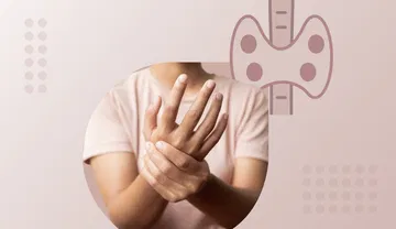 Nerve Vitali website